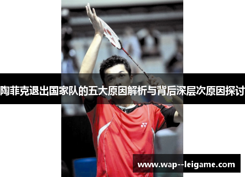 陶菲克退出国家队的五大原因解析与背后深层次原因探讨