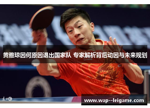 黄雅琼因何原因退出国家队 专家解析背后动因与未来规划