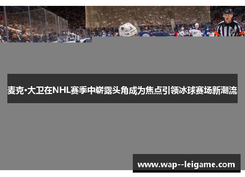 麦克·大卫在NHL赛季中崭露头角成为焦点引领冰球赛场新潮流