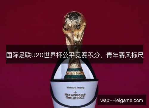 国际足联U20世界杯公平竞赛积分，青年赛风标尺